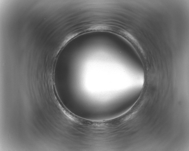 X0000066101041200603171351