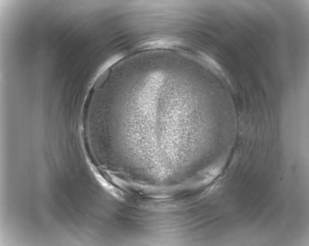 X0000066101042200603171351