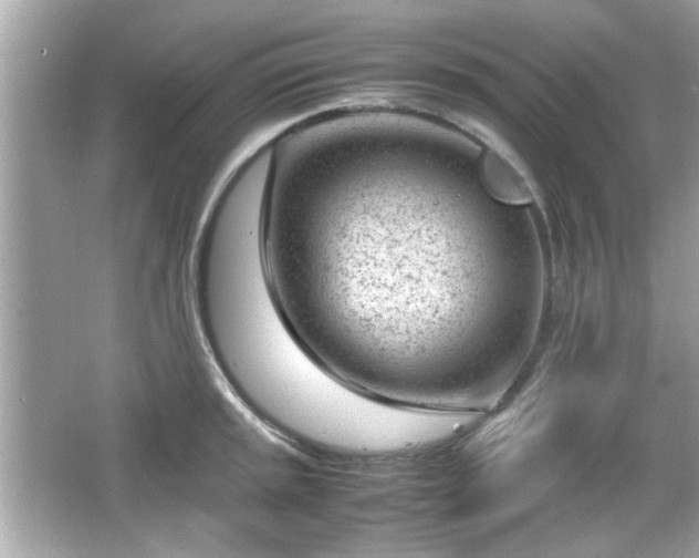 X0000066101045200603171352