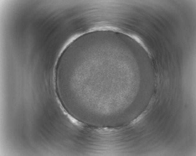 X0000066101046200603171352