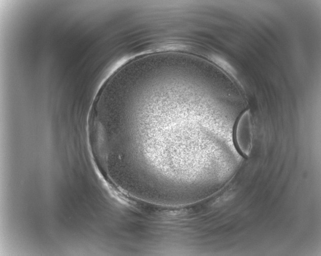 X0000066101047200603171352