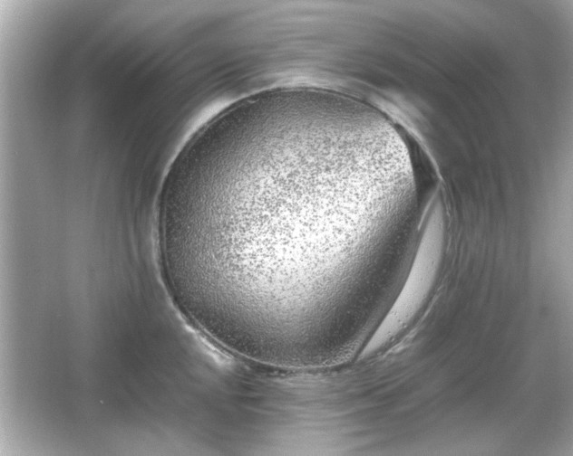 X0000066101048200603171352