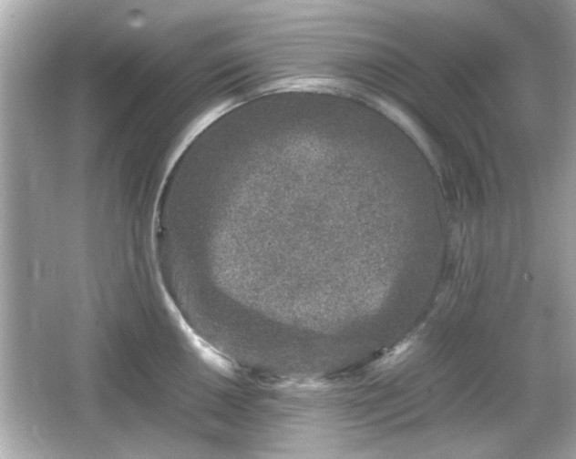 X0000066101050200603171352