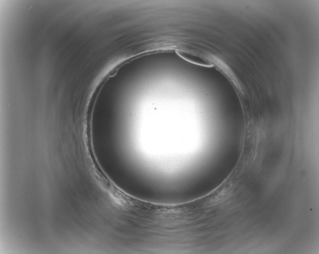 X0000066101051200603171352