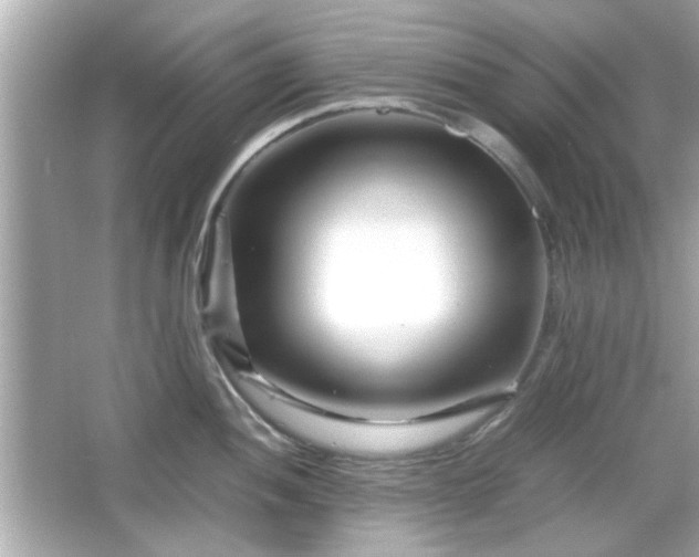 X0000066101052200603171352