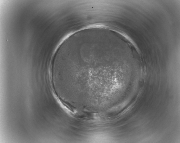 X0000066101054200603171352