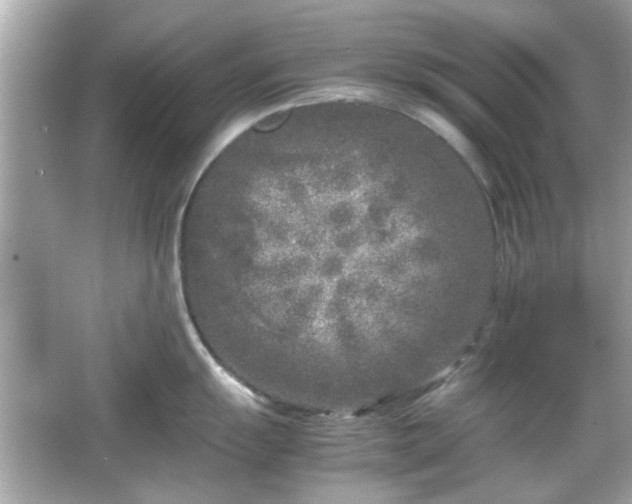 X0000066101055200603171352