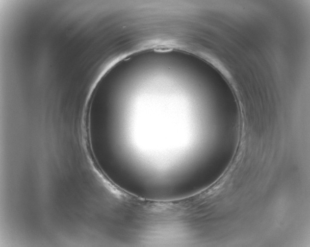 X0000066101056200603171352