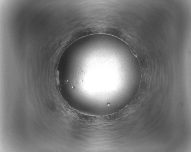 X0000066101057200603171351