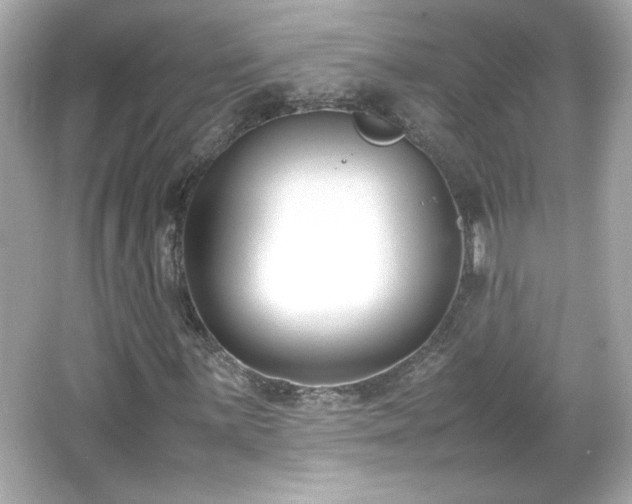 X0000066101059200603171351