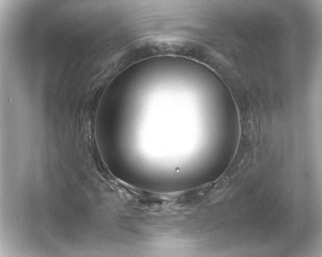 X0000066101061200603171351