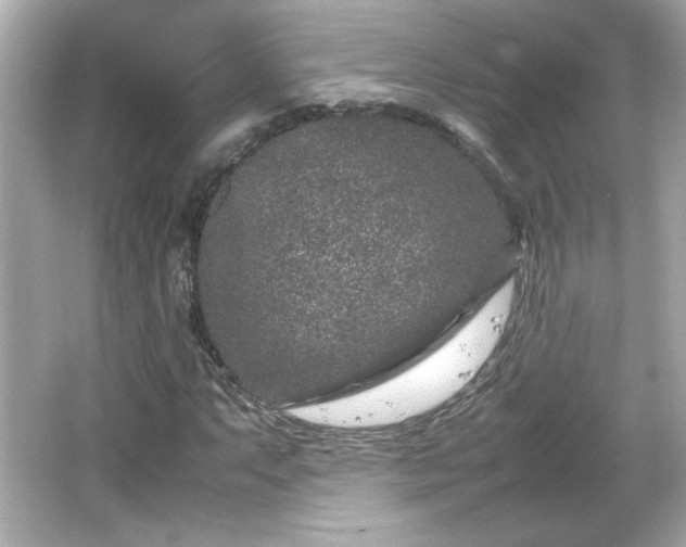 X0000066101063200603171351