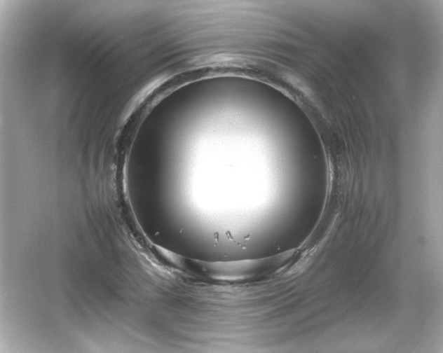 X0000066101066200603171351