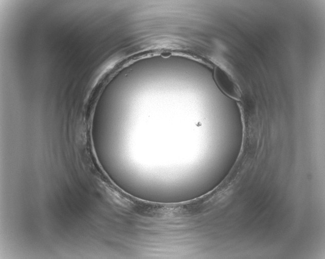 X0000066101067200603171351