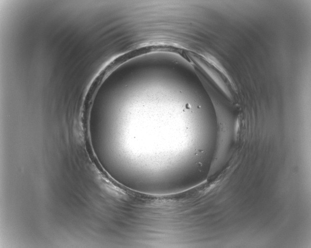 X0000066101068200603171351