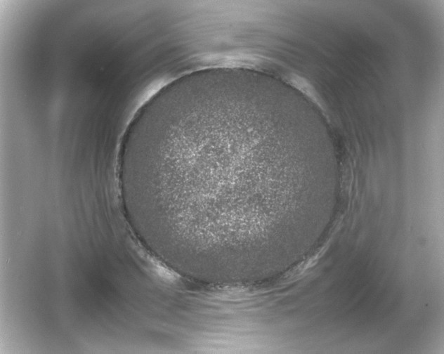 X0000066101071200603171351