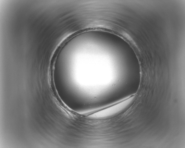 X0000066101076200603171351