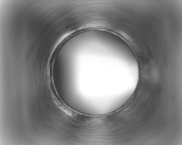 X0000066101078200603171351