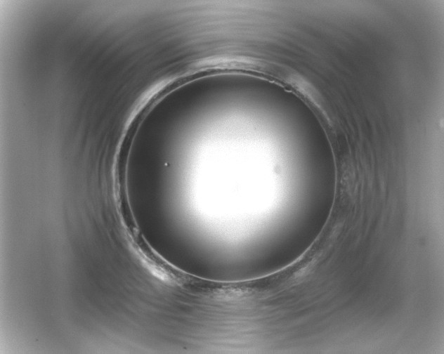 X0000066101082200603171350