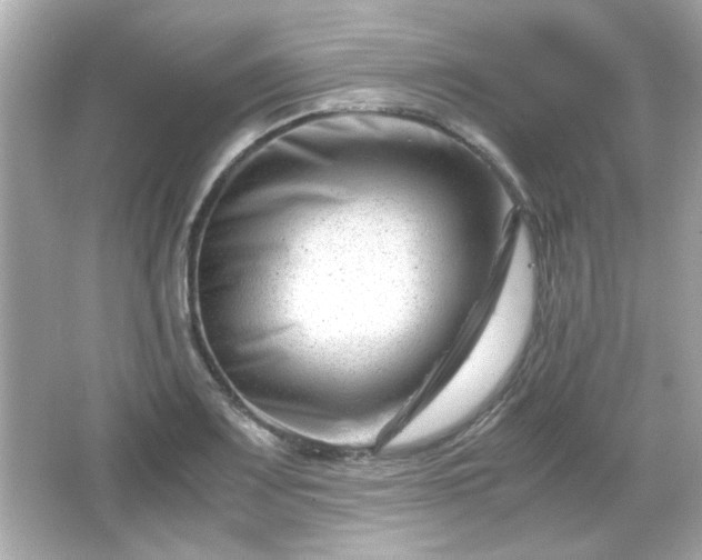 X0000066101083200603171350