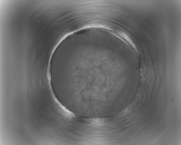 X0000066101084200603171350