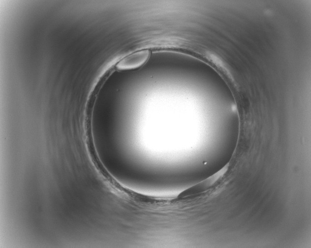 X0000066101085200603171350