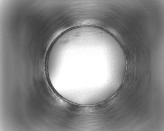 X0000066101086200603171350