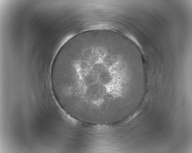 X0000066101087200603171350