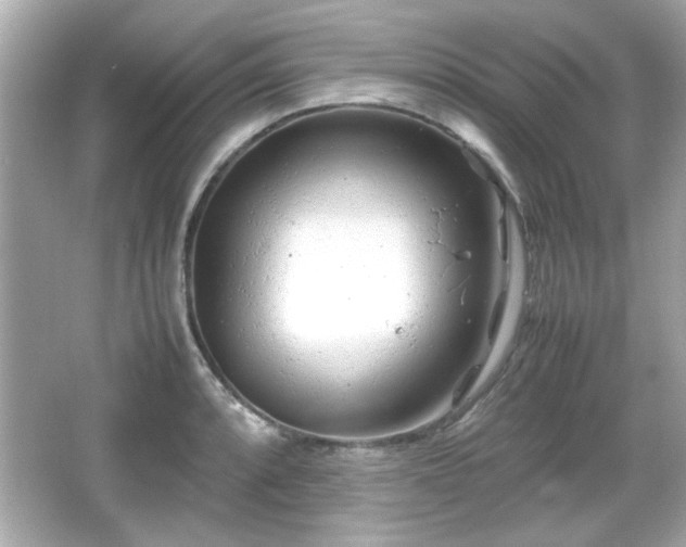 X0000066101088200603171350