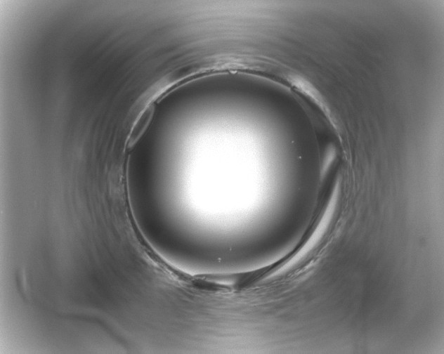 X0000066101089200603171350