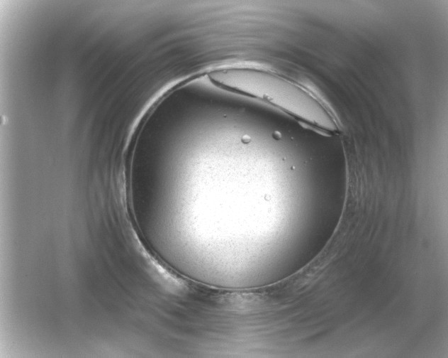 X0000066101092200603171350