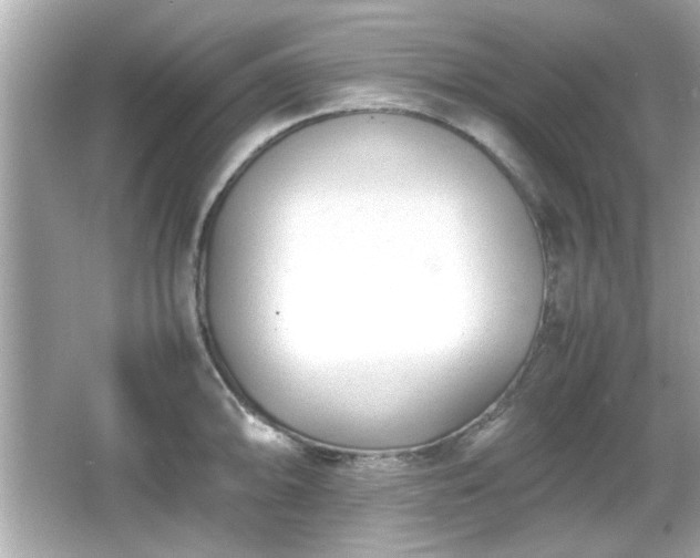 X0000066101094200603171350