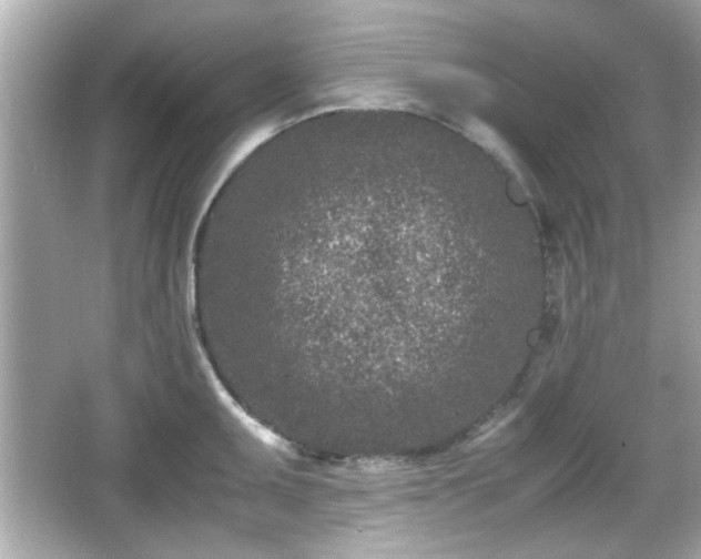 X0000066101095200603171350