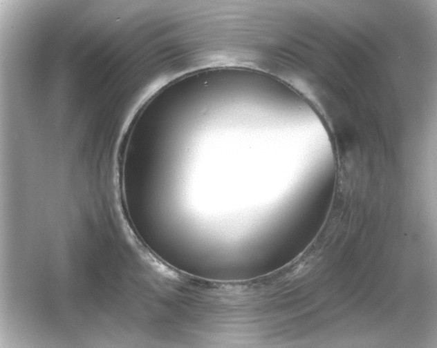 X0000066101096200603171350