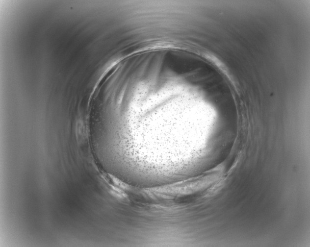 X0000066101097200603171350