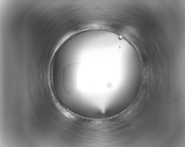 X0000066101098200603171350