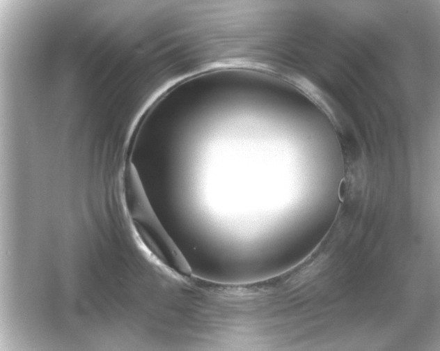 X0000066101100200603171350