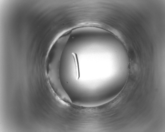 X0000066101102200603171350