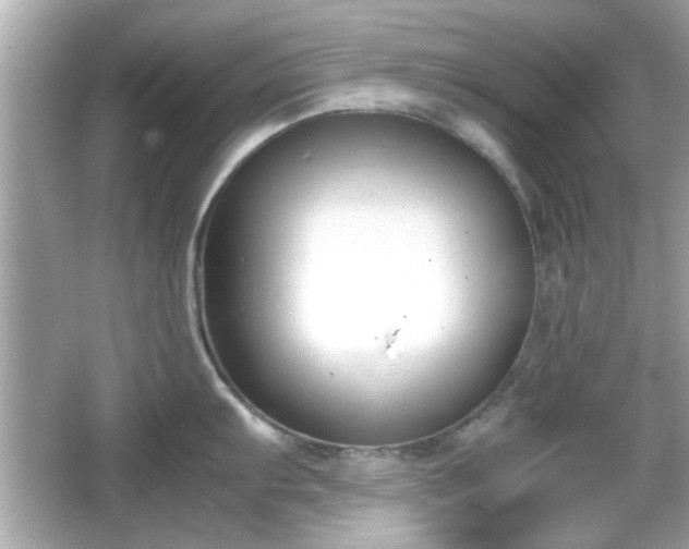 X0000066101103200603171350