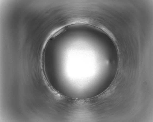 X0000066101104200603171350