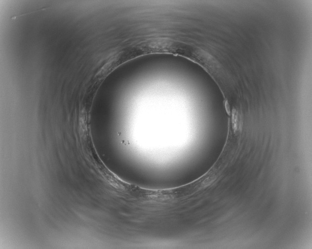 X0000066101107200603171349