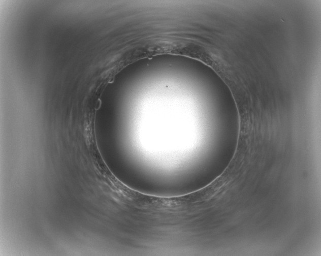 X0000066101109200603171349