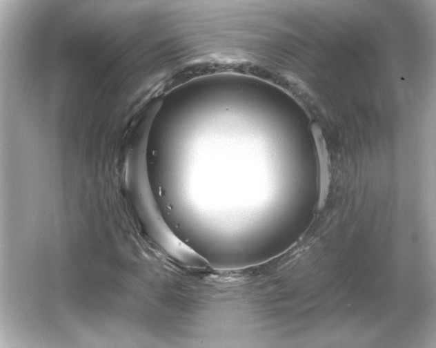 X0000066101110200603171349