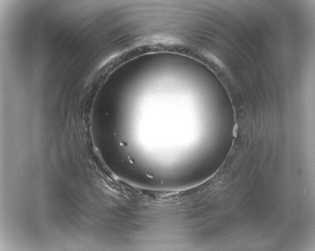 X0000066101112200603171349