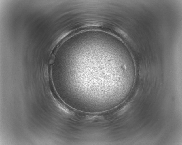 X0000066101113200603171349