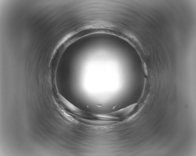 X0000066101114200603171349