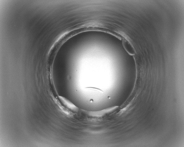 X0000066101115200603171349