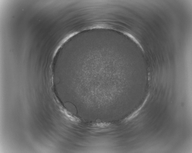 X0000066101117200603171349