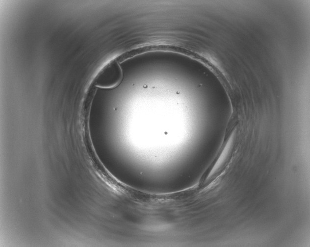 X0000066101119200603171350