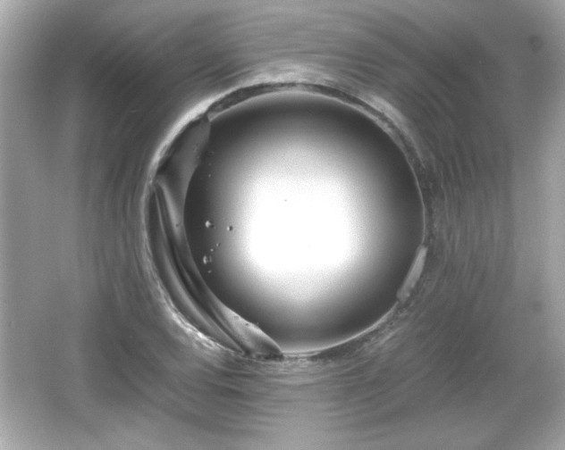 X0000066101120200603171350